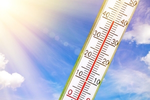 Bild eines Thermometer bei 40 Grad Celsius