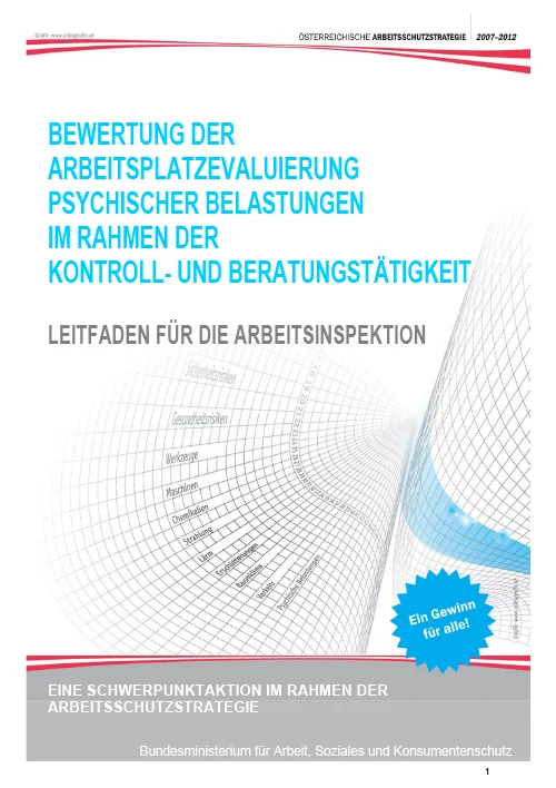 Bewertung der Arbeitsplatzevaluierung psychischer Belastungen im Rahmen der Kontroll- und Beratungstätigkeit (August 2013)