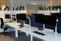 Desksharing: Arbeitplätze in einem Büro